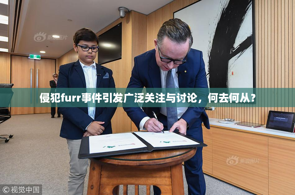 侵犯furr事件引发广泛关注与讨论，何去何从？
