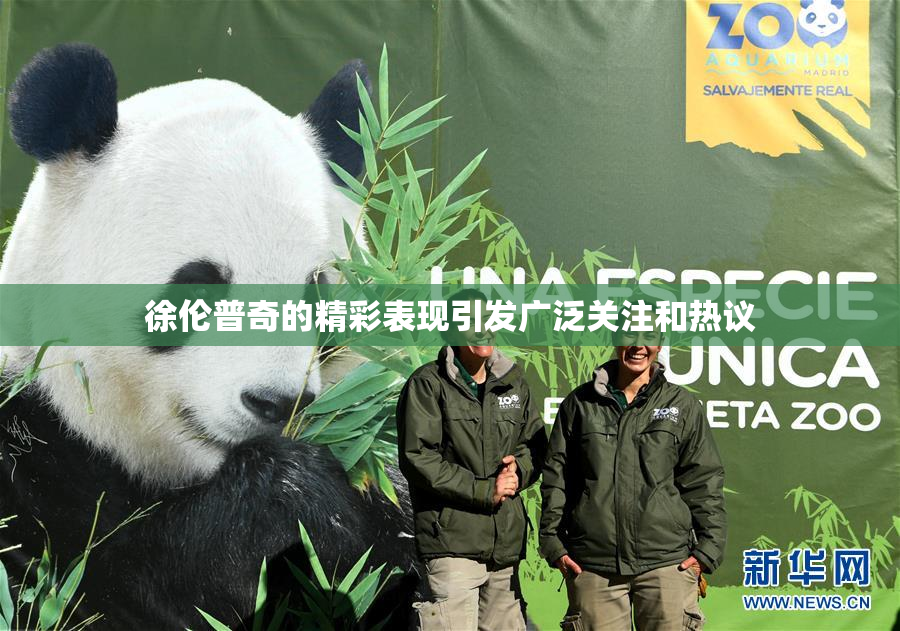 徐伦普奇的精彩表现引发广泛关注和热议