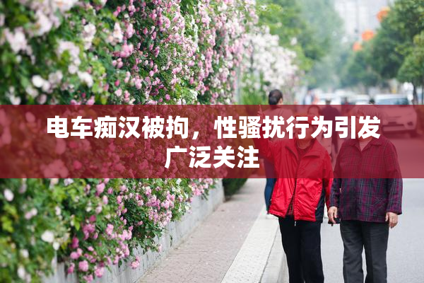电车痴汉被拘，性骚扰行为引发广泛关注