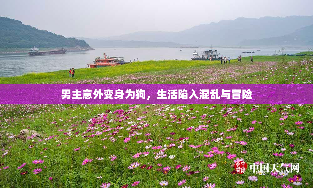 男主意外变身为狗，生活陷入混乱与冒险