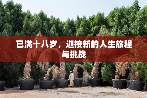 已满十八岁，迎接新的人生旅程与挑战