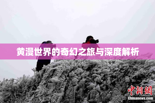 黄漫世界的奇幻之旅与深度解析
