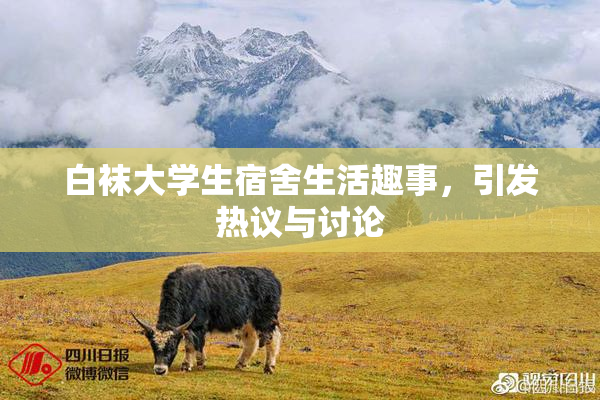 白袜大学生宿舍生活趣事，引发热议与讨论