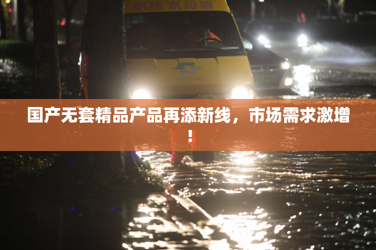 国产无套精品产品再添新线，市场需求激增！