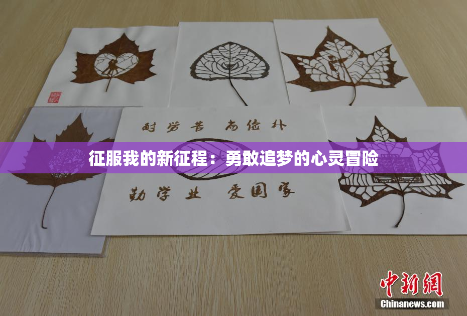 征服我的新征程：勇敢追梦的心灵冒险