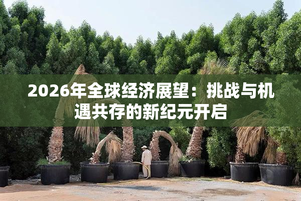 2026年全球经济展望：挑战与机遇共存的新纪元开启