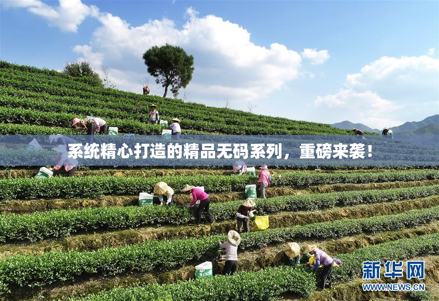 系统精心打造的精品无码系列，重磅来袭！