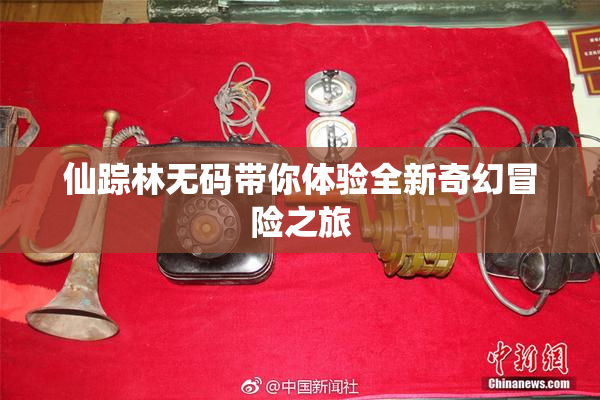 仙踪林无码带你体验全新奇幻冒险之旅