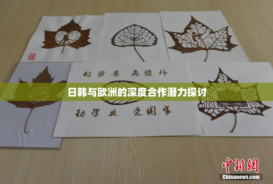 日韩与欧洲的深度合作潜力探讨