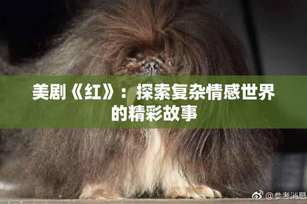 美剧《红》：探索复杂情感世界的精彩故事