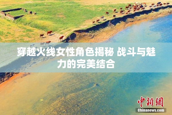 穿越火线女性角色揭秘 战斗与魅力的完美结合