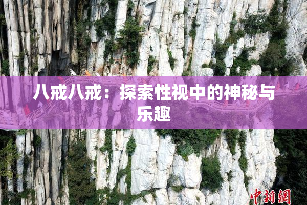 八戒八戒：探索性视中的神秘与乐趣
