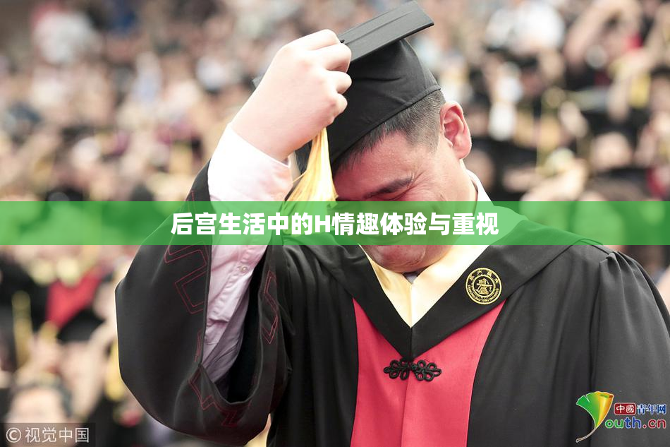 后宫生活中的H情趣体验与重视