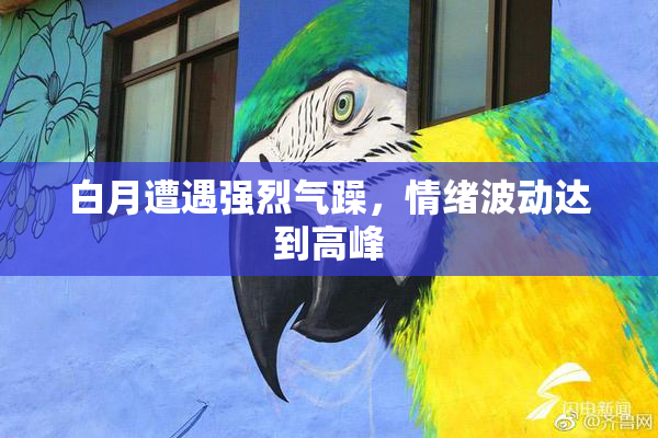 白月遭遇强烈气躁，情绪波动达到高峰