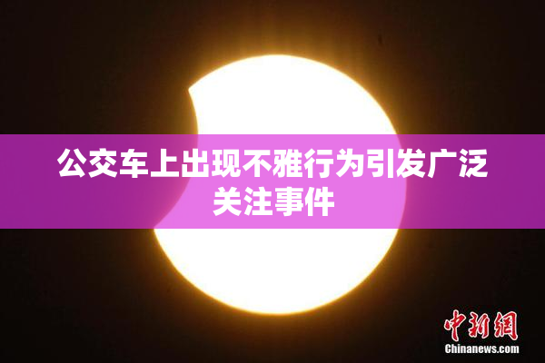 公交车上出现不雅行为引发广泛关注事件