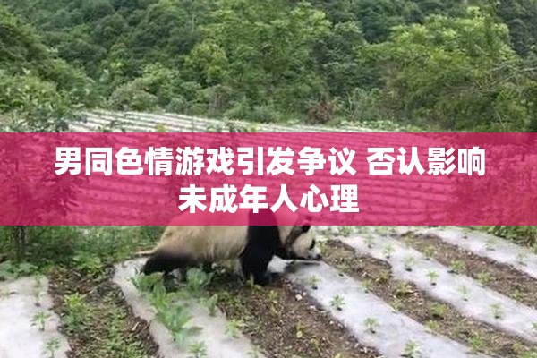 男同色情游戏引发争议 否认影响未成年人心理