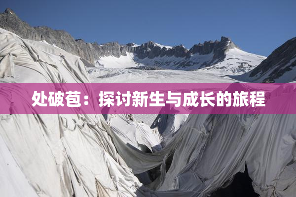 处破苞：探讨新生与成长的旅程
