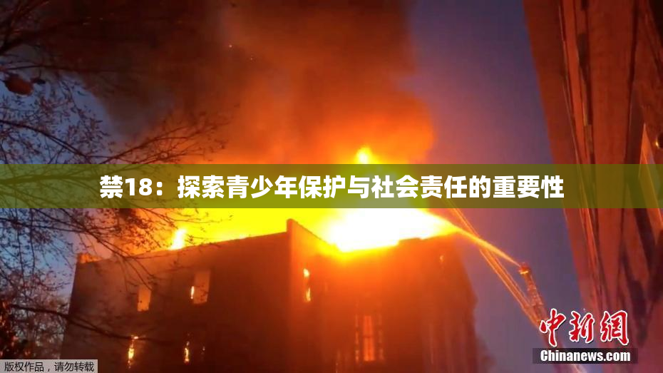 禁18：探索青少年保护与社会责任的重要性