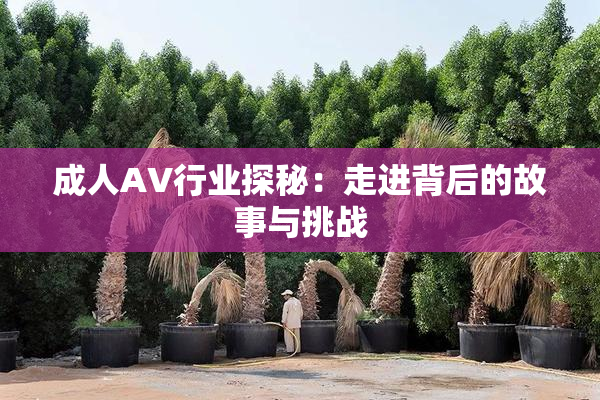 成人AV行业探秘：走进背后的故事与挑战