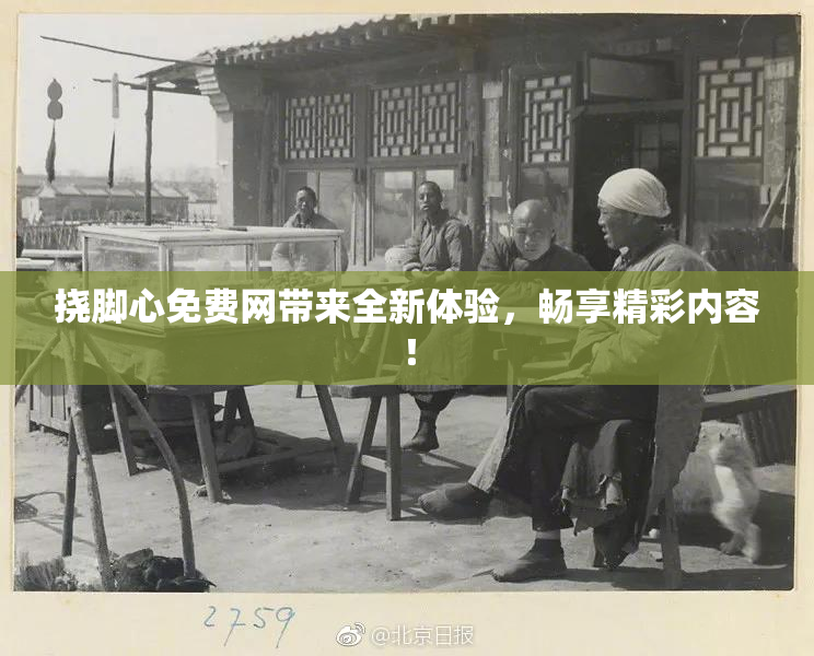 挠脚心免费网带来全新体验，畅享精彩内容！