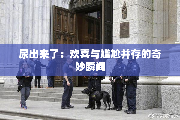 尿出来了：欢喜与尴尬并存的奇妙瞬间