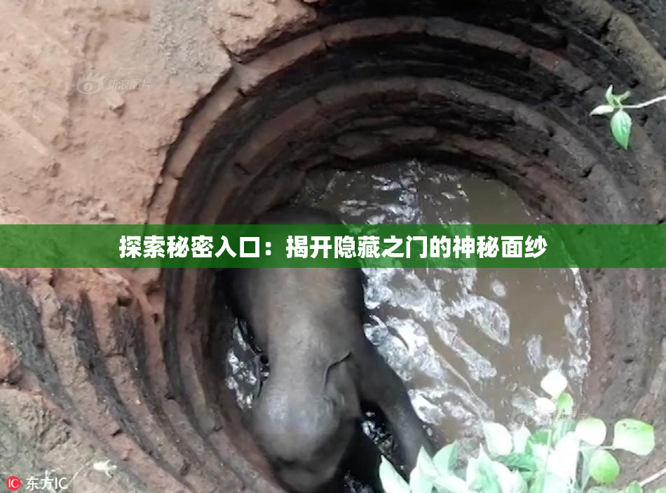 探索秘密入口：揭开隐藏之门的神秘面纱