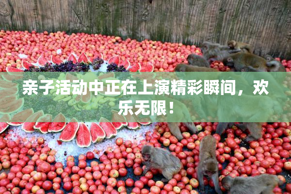 亲子活动中正在上演精彩瞬间，欢乐无限！