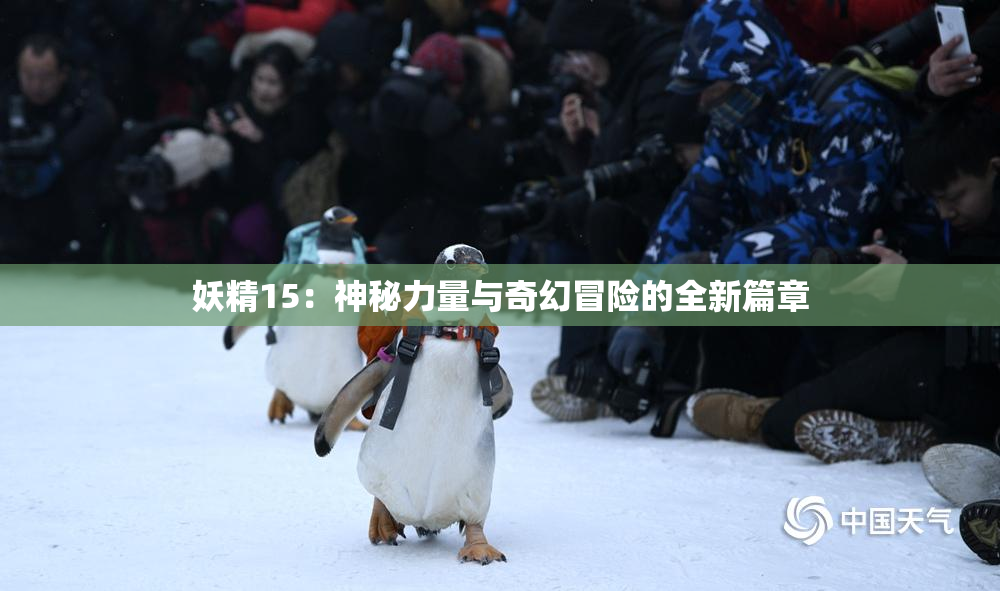 妖精15：神秘力量与奇幻冒险的全新篇章