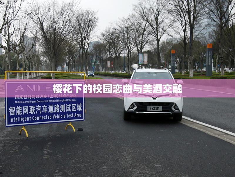 樱花下的校园恋曲与美酒交融