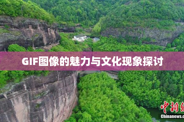 GIF图像的魅力与文化现象探讨