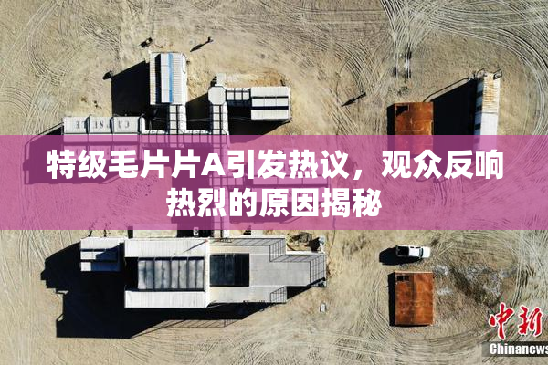 特级毛片片A引发热议，观众反响热烈的原因揭秘