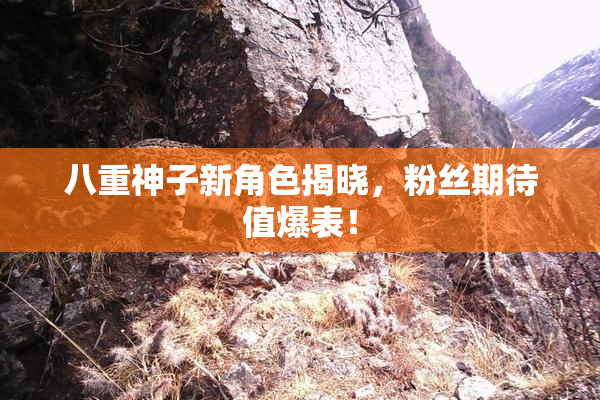八重神子新角色揭晓，粉丝期待值爆表！