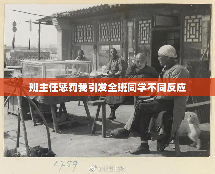 班主任惩罚我引发全班同学不同反应
