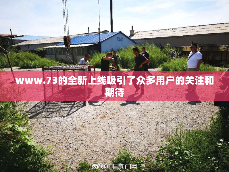 www.73的全新上线吸引了众多用户的关注和期待
