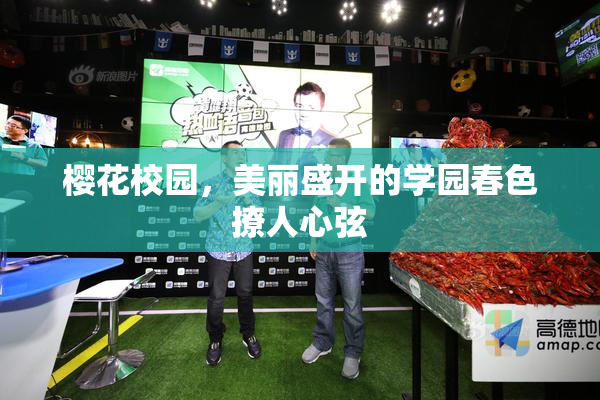 樱花校园，美丽盛开的学园春色撩人心弦