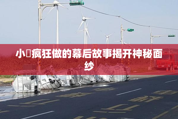 小泬疯狂做的幕后故事揭开神秘面纱