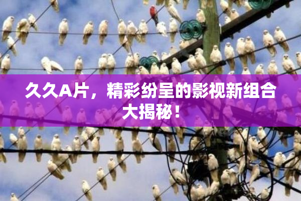 久久A片，精彩纷呈的影视新组合大揭秘！