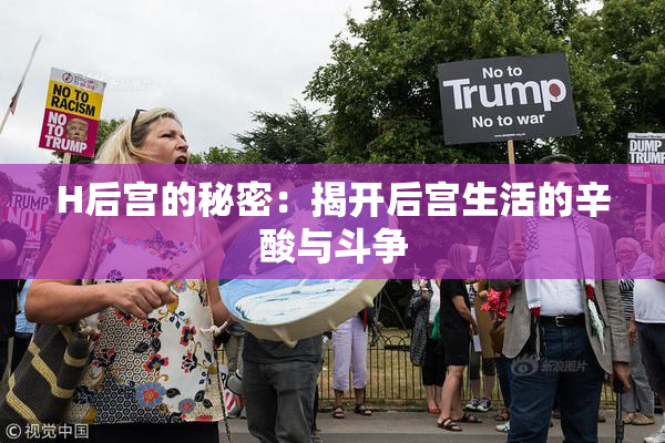 H后宫的秘密：揭开后宫生活的辛酸与斗争