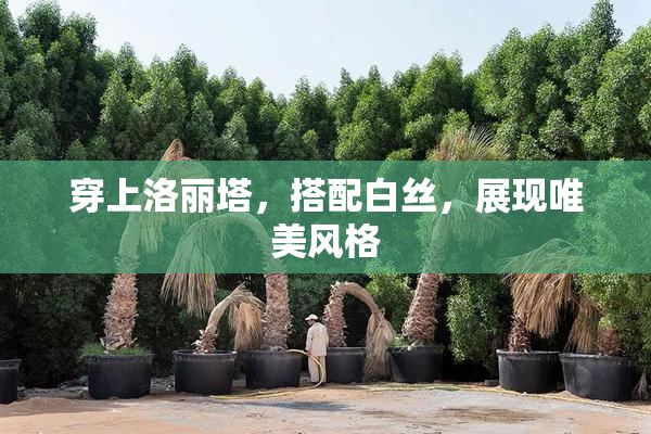 穿上洛丽塔，搭配白丝，展现唯美风格