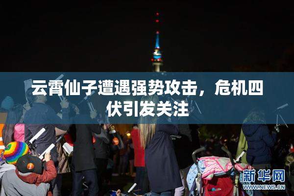 云霄仙子遭遇强势攻击，危机四伏引发关注
