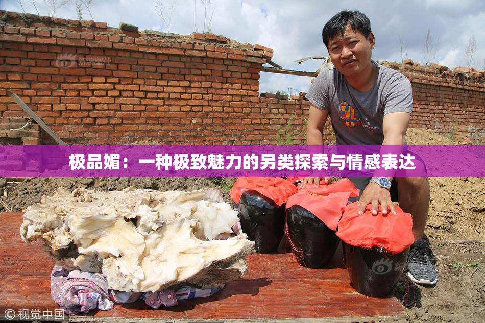 极品媚：一种极致魅力的另类探索与情感表达