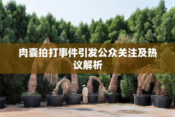 肉囊拍打事件引发公众关注及热议解析