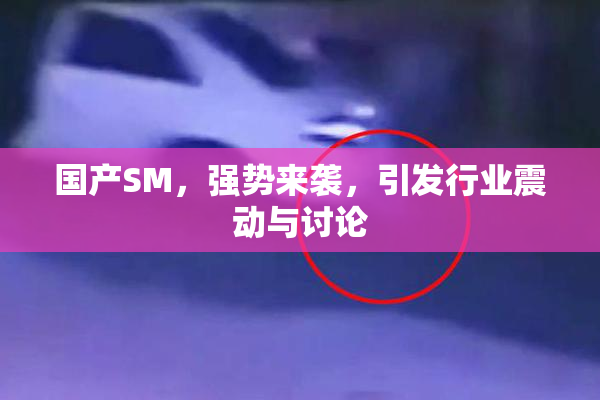 国产SM，强势来袭，引发行业震动与讨论