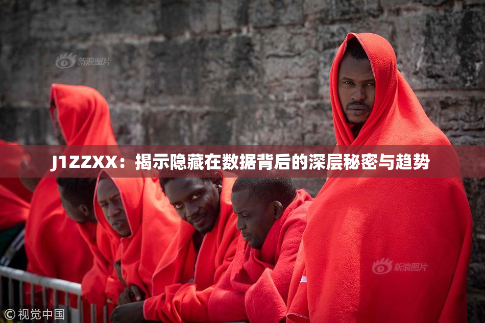 J1ZZXX：揭示隐藏在数据背后的深层秘密与趋势