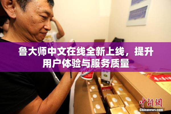 鲁大师中文在线全新上线，提升用户体验与服务质量