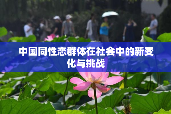 中国同性恋群体在社会中的新变化与挑战