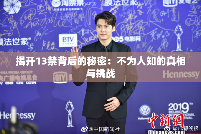 揭开13禁背后的秘密：不为人知的真相与挑战