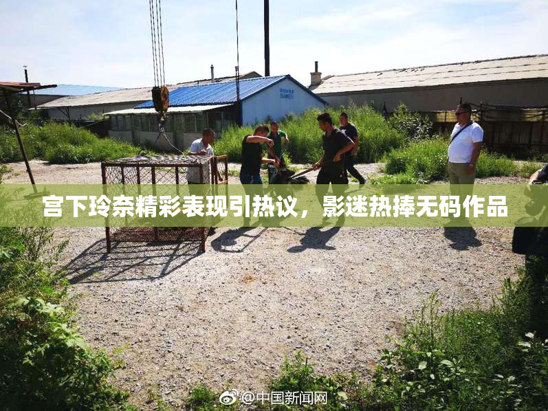 宫下玲奈精彩表现引热议，影迷热捧无码作品