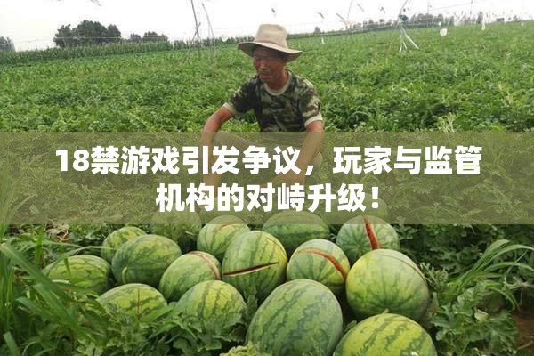 18禁游戏引发争议，玩家与监管机构的对峙升级！