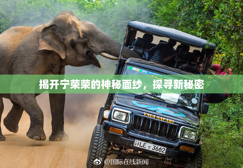 揭开宁荣荣的神秘面纱，探寻新秘密